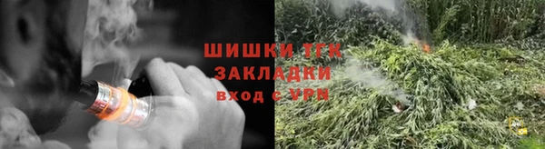 хмурый Белокуриха
