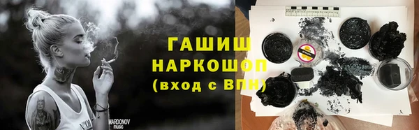 хмурый Белокуриха
