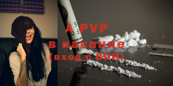 стаф Саяногорск