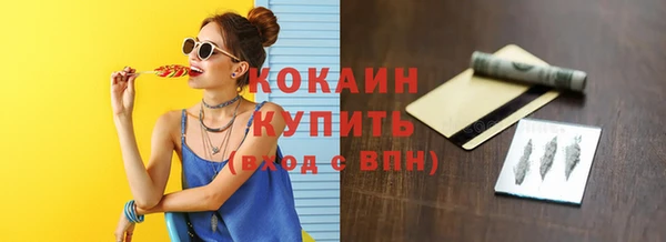 хмурый Белокуриха