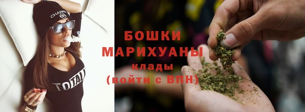 хмурый Белокуриха