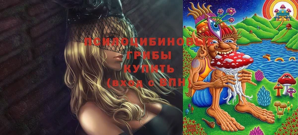 амф Беломорск