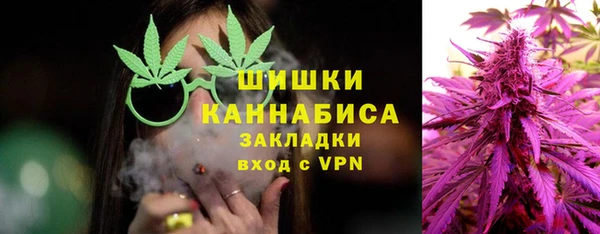 хмурый Белокуриха